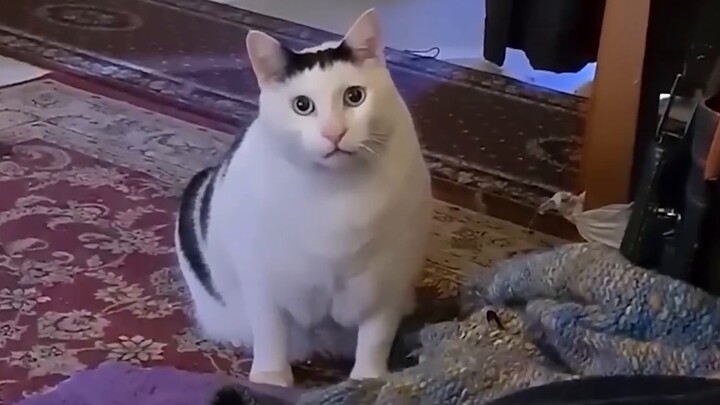 อยาก...อยาก(เหยา)มั้ย? ! !