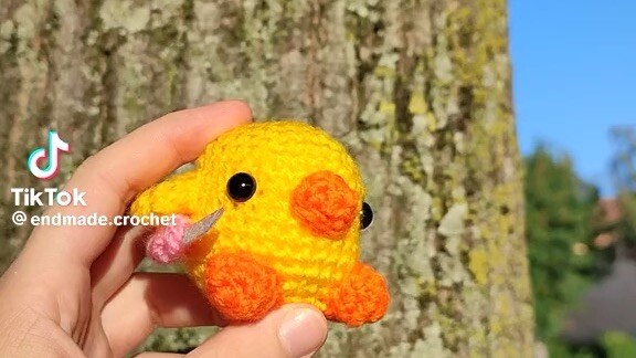 Duck crochet