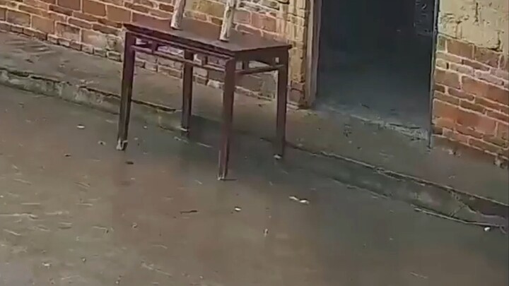 Para lansia yang tinggal sendirian di kampung, setiap kali aku pulang, mereka selalu duduk menunggu 