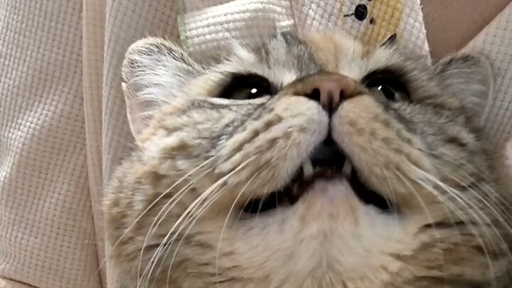 إذا لم تُعطِه الطعام، فسيبدأ بالبكاء بصوت عالٍ