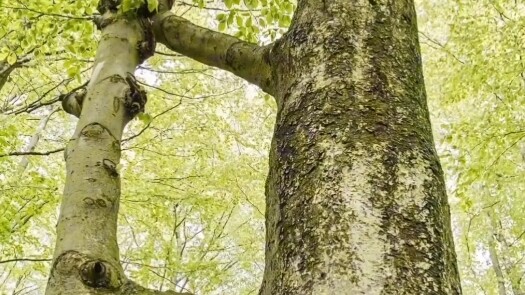 التقطته بالصدفة، شعرت باندهاش شديد