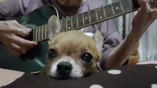 Thai grandma plays guitar and sings "Yesterday once more"