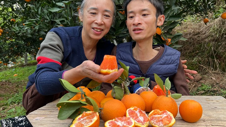 คุณแม่พาฉันไลฟ์สดขายส้มแดงจีนที่ปลูกในไร่นา