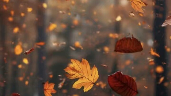 Wala lang just bored