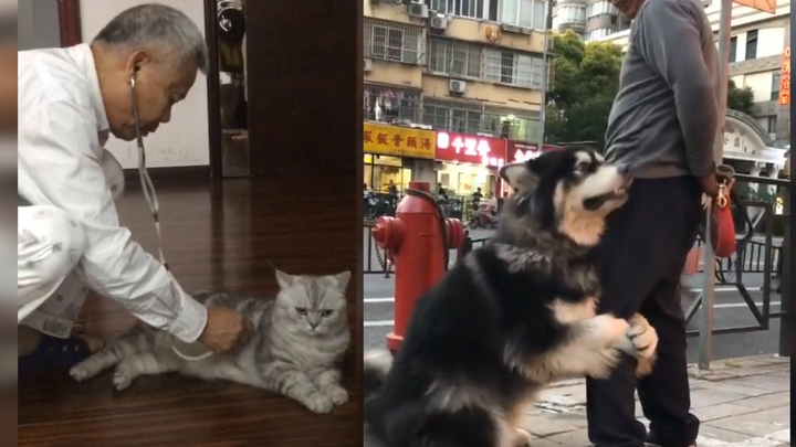 Your grandpa is still your grandpa—let's take a look at the cats and dogs our grandparents used to r