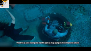 Khi Cá Mập Có Trí Thông Minh Như Con Người 6 #reviewphim