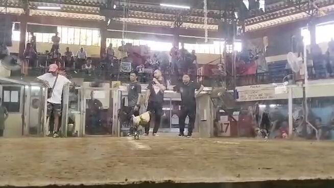 my own creation Talisayin 1st win