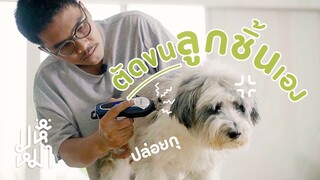 (EN) แกงหม้อใหญ่ เมื่อยอร์ช ลองตัดขนให้ลูกชิ้นเองที่บ้าน - มหึหมา EP112