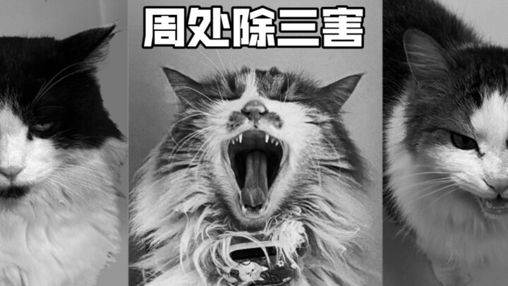 Zhou Chu Eliminates the Three Evils