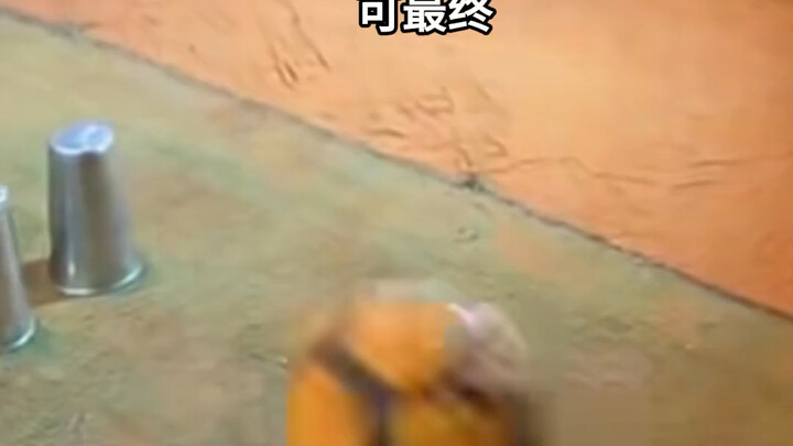 คุณคิดว่าคุณจะประสบความสำเร็จไหม?