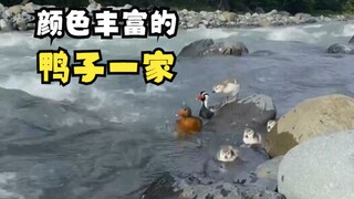 Melatih anak-anak di jeram pegunungan