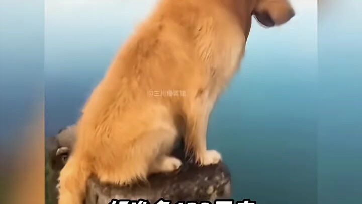 “Come Back, 123” Is What I Eat