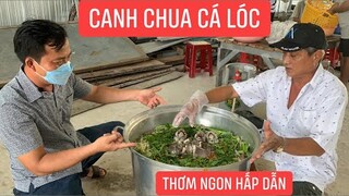 Canh chua cá lóc đậm đà hương vị Miền Tây thơm ngon tuyệt vời