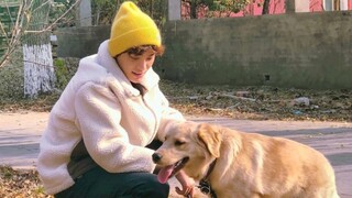 【丁禹兮】很适合日系的男孩子