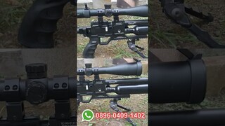 Galaxy Predator Bogel 300CC