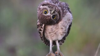 Twist your head every now and then