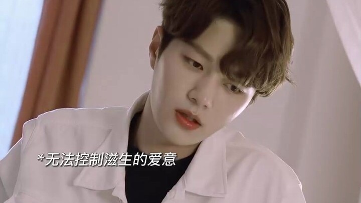 Tôi đã từng yêu bạn, hiện tại đang yêu bạn, và sau này cũng sẽ mãi yêu bạn.