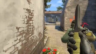 Is this the way I should go?
