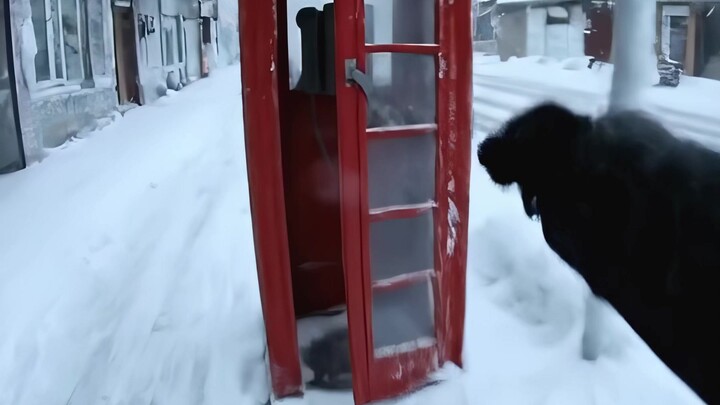 Terjebak di kota beku yang terbengkalai, pilihan tempat berlindung mana yang akan kamu ambil? ASMR