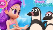 Purple Marine Book (EP 04) Penguin Humboldt