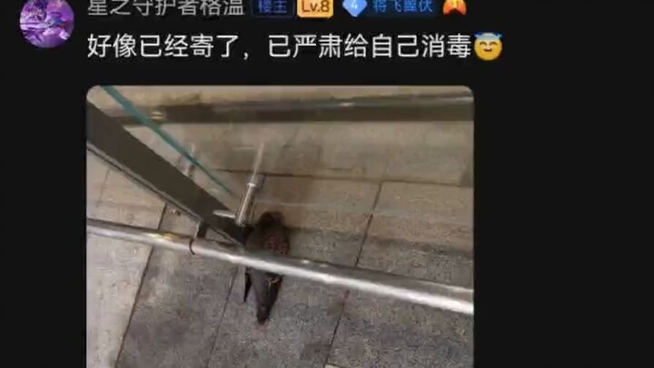 HarmonyOS version of Tieba has insane image-grabbing capabilities!