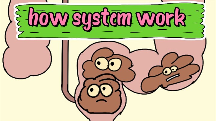 funniest video how  system work