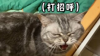 สแตนด์อัพคอมเมดี้ของเต๋อเต๋อ ใครฟังแล้วก็ต้องร้องไห้