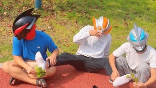 Bắt đầu bắt nạt Grigio lần nữa