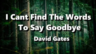 I Can't Find The Words To Say Goodbye - David Gates ( Lyrics )