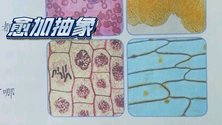 Band penutup dalam buku biologi