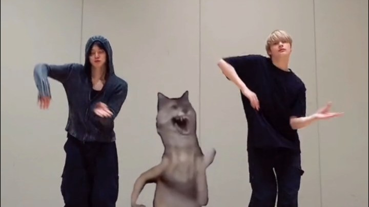 【TXT】2500万播放的双人视频怎么样？进来看有没有你磕的！！！档24年双人TikTok视频播放量TOP10排名！