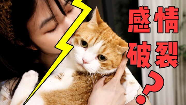 Setelah 5 tahun memelihara kucing, saya mengikuti tantangan 3 hari tanpa hewan peliharaan! Gejala pu