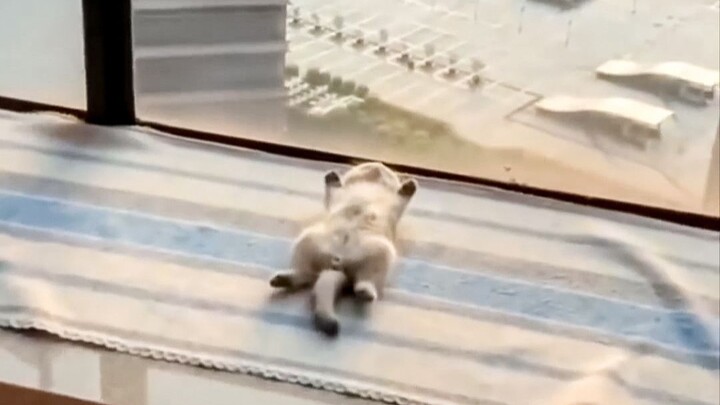 How can you possibly sleep at your age!