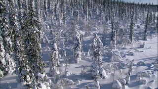 [Tập 5 - Thuyết Minh] Hành tinh băng giá 1 - Frozen Planet (2011) E05