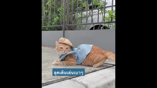 ลุคเดินเล่นข้างบ้านวันเบาๆ