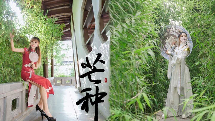【渊唯】芒种❤性感旗袍X超仙蓬莱伞娘
