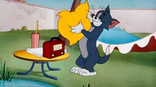 062-Cat Napping [1951]