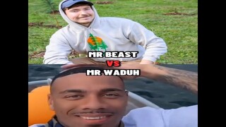 Mr Beast Vs Mr Waduh...