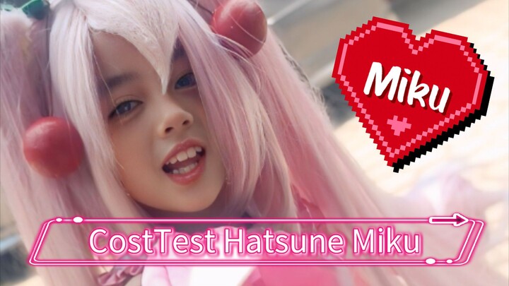 Cosplay Test Hatsune Miku Sakura 🍒