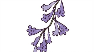 Penipuan Jacaranda
