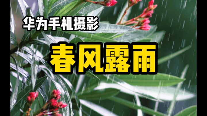 [Mobile Photography] Spring Rain Is Here—A Tutorial for Beginners Who Don’t Know How to Shoot in the