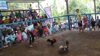 2nd Fight 220k Parada . McLean Grey . Engkwentro sa Langan Sta Cruz Davao Del Sur .