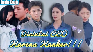 Polos ditindas atasan, dia malah ketemu CEO yang sembunyikan identitas. Sejak saat itu dimanja!...