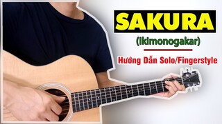 Hướng dẫn: Sakura | Ikimonogakari | Guitar Solo/Fingerstyle Tutorial (Easy)