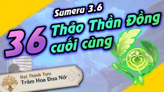 36 Thảo Thần Đồng cuối cùng | All Dendroculus Sumeru 3.6 | Genshin Impact 3.6