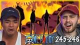 WATER 7 DESTROYED! LUCCI IS INSANE!! - One Piece Episode 245 & 246 REACTION + REVIEW!