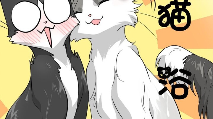 [Audio Comic] "Sesame and Rice Cake" Episode 6/Sesame and Rice Cake Take a Bath Together~