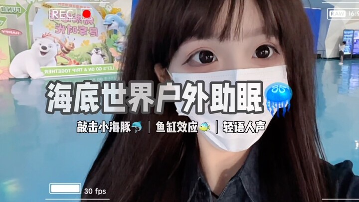 超好睡的海洋馆户外助眠！敲击海豚get，祝你开心 晚安～