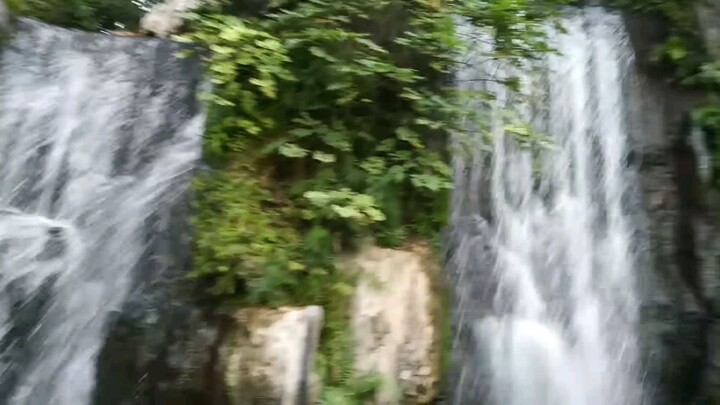Kolam Ikan (3)