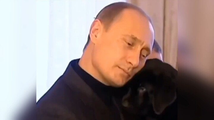 Thì ra Putin lại yêu chó đến thế
